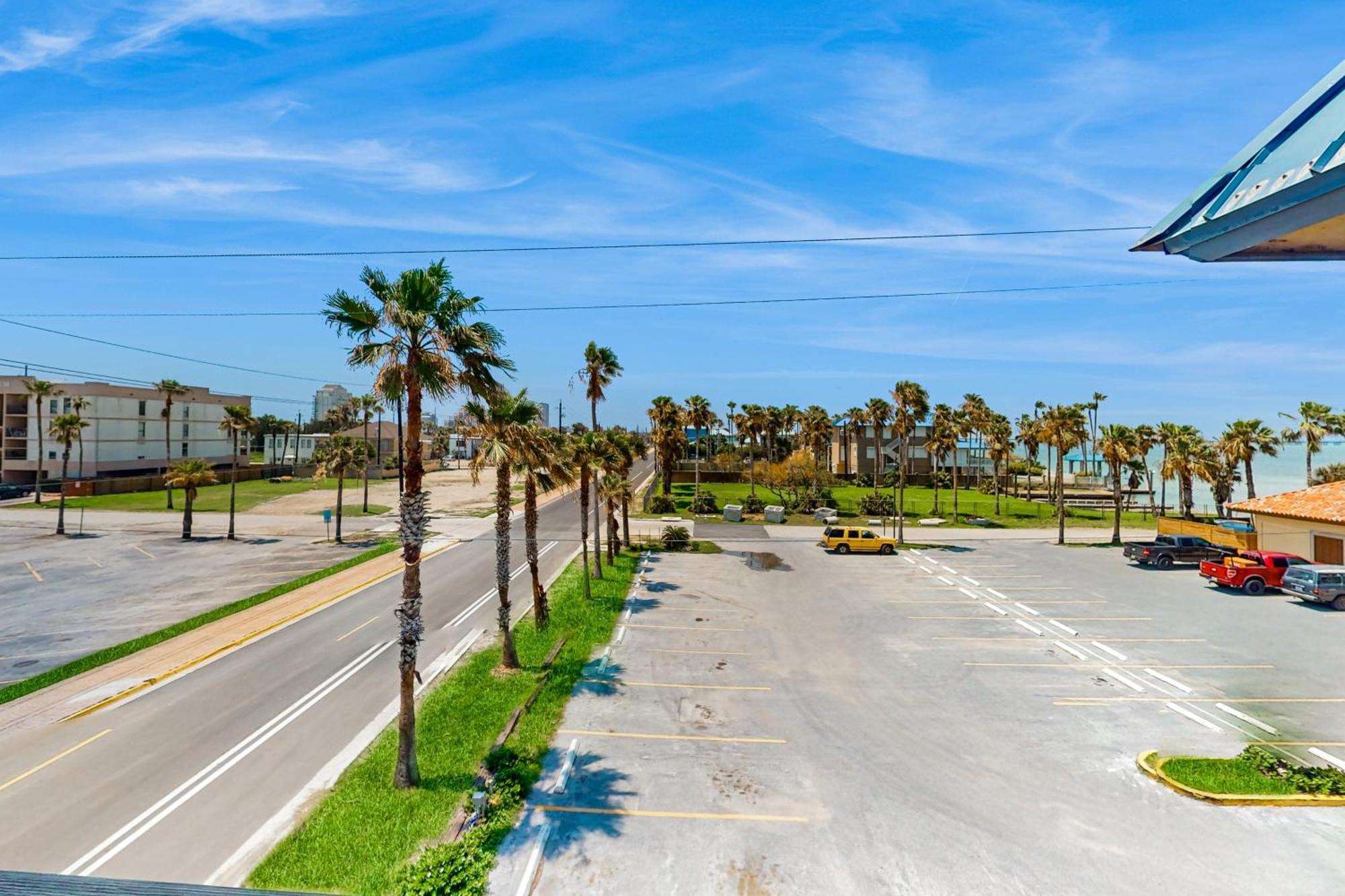 Marlin Arms Condos South Padre Island Værelse billede